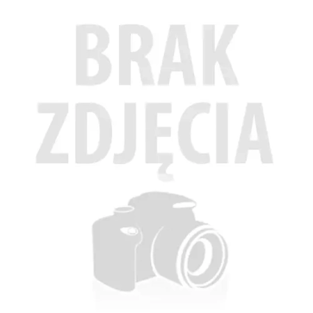10x Worki + FIltr Karcher